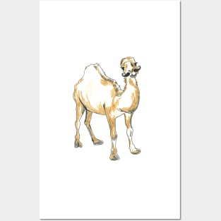 Camel Posters and Art